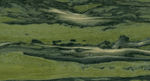 Verde Bamboo