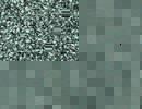 80.60 GRIBAS